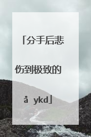 分手后悲伤到极致的句子